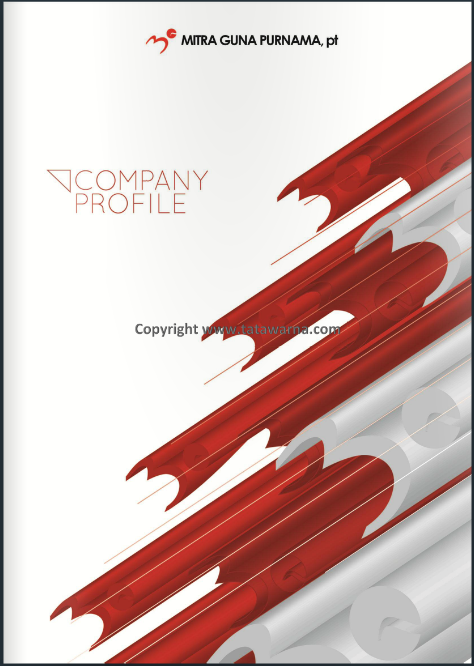 Contoh Company Profile Perusahaan Yang Baik - Contoh 317
